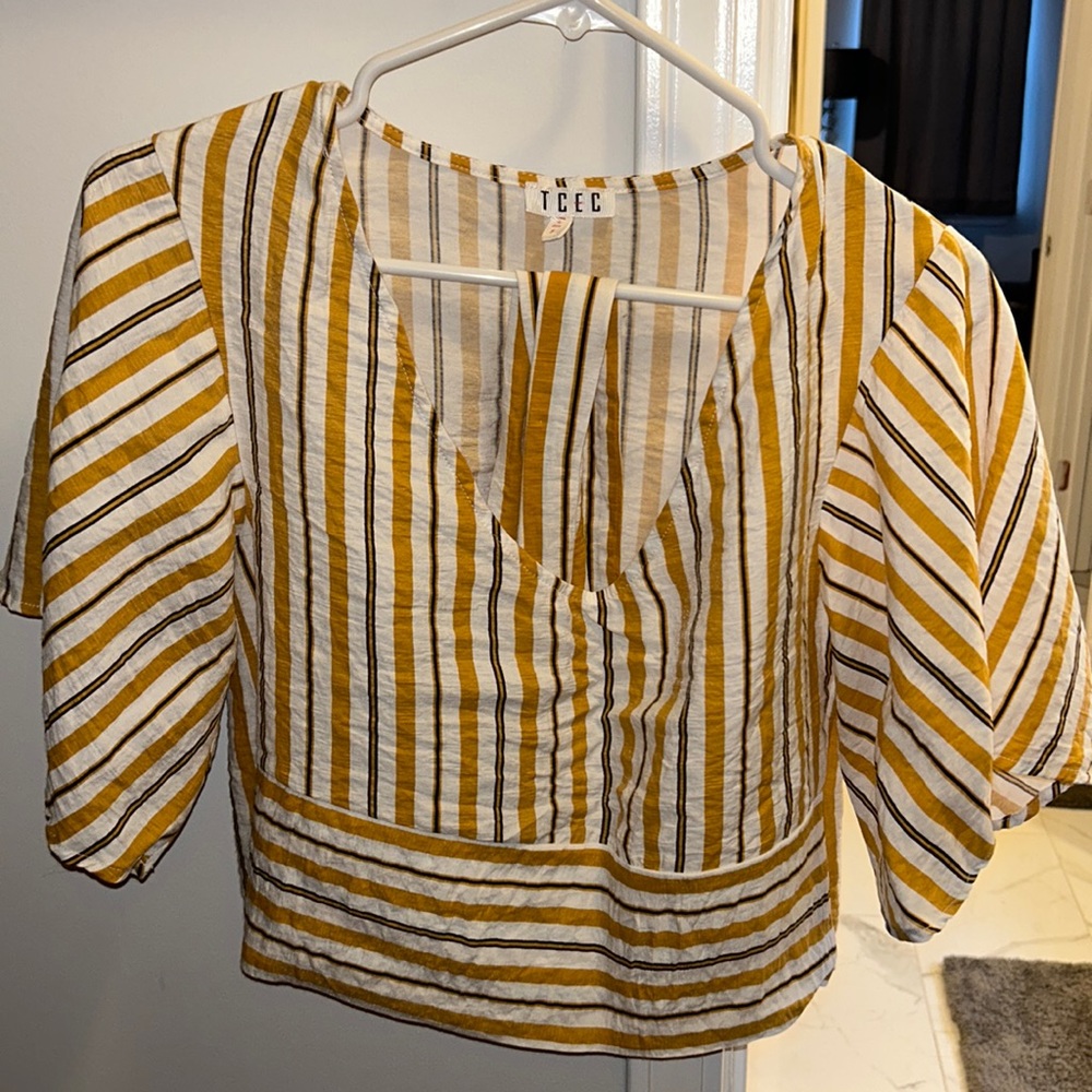 TCEC black, white, gold striped crop top